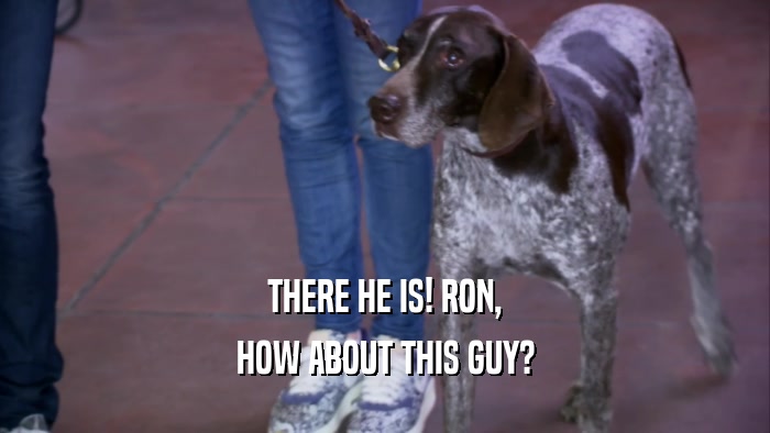 THERE HE IS! RON, HOW ABOUT THIS GUY? 