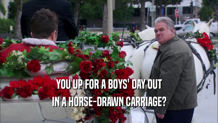YOU UP FOR A BOYS' DAY OUT IN A HORSE-DRAWN CARRIAGE? 