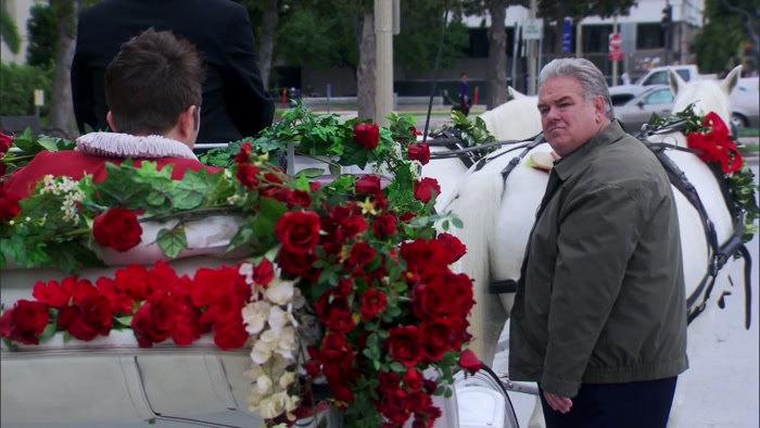 YOU UP FOR A BOYS' DAY OUT IN A HORSE-DRAWN CARRIAGE? 
