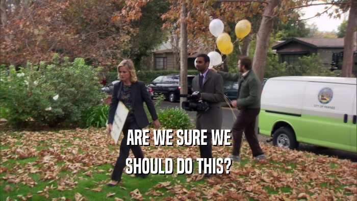 ARE WE SURE WE SHOULD DO THIS? 