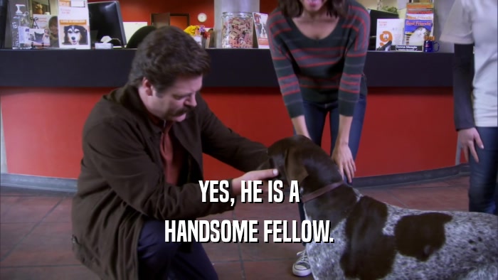 YES, HE IS A HANDSOME FELLOW. 