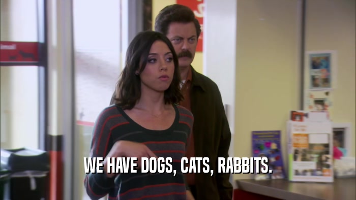WE HAVE DOGS, CATS, RABBITS.  