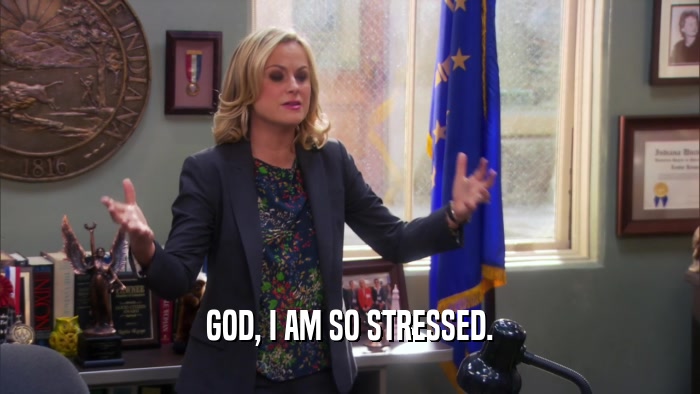 GOD, I AM SO STRESSED.  