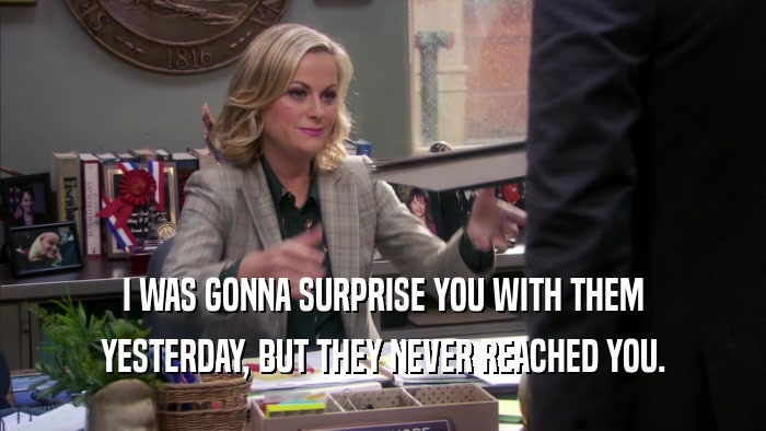 I WAS GONNA SURPRISE YOU WITH THEM YESTERDAY, BUT THEY NEVER REACHED YOU. 