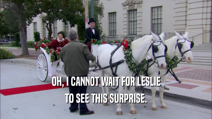 OH, I CANNOT WAIT FOR LESLIE TO SEE THIS SURPRISE. 