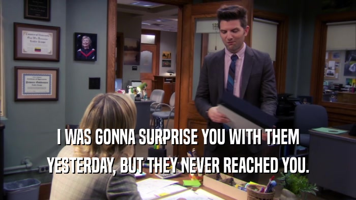 I WAS GONNA SURPRISE YOU WITH THEM YESTERDAY, BUT THEY NEVER REACHED YOU. 