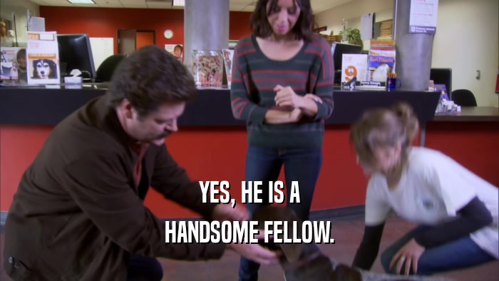 YES, HE IS A HANDSOME FELLOW. 