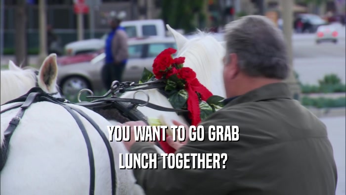 YOU WANT TO GO GRAB LUNCH TOGETHER? 