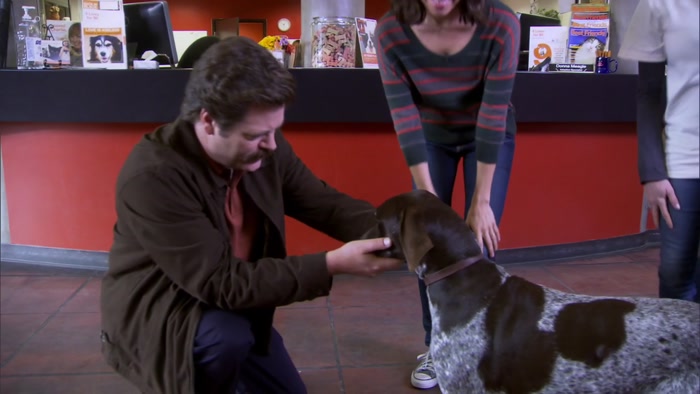 HELLO, DOG.  