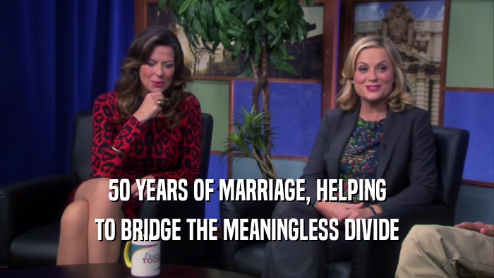 50 YEARS OF MARRIAGE, HELPING TO BRIDGE THE MEANINGLESS DIVIDE 