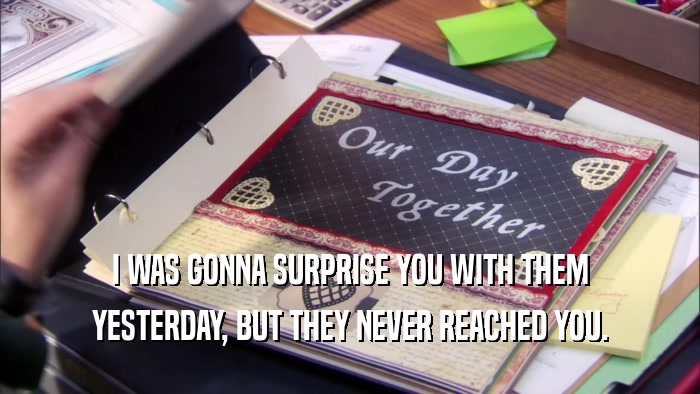 I WAS GONNA SURPRISE YOU WITH THEM YESTERDAY, BUT THEY NEVER REACHED YOU. 
