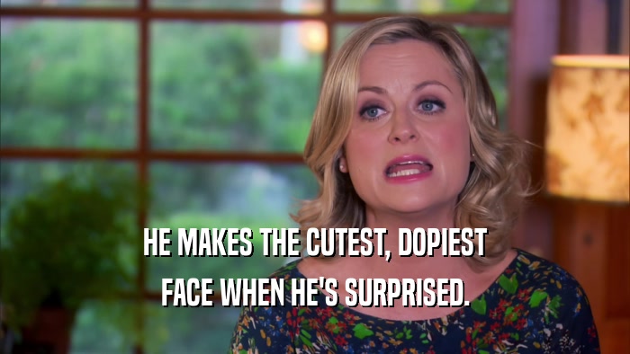 HE MAKES THE CUTEST, DOPIEST FACE WHEN HE'S SURPRISED. 