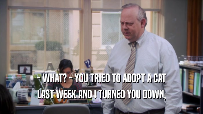 - WHAT? - YOU TRIED TO ADOPT A CAT LAST WEEK AND I TURNED YOU DOWN, 