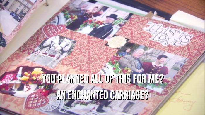 YOU PLANNED ALL OF THIS FOR ME? AN ENCHANTED CARRIAGE? 