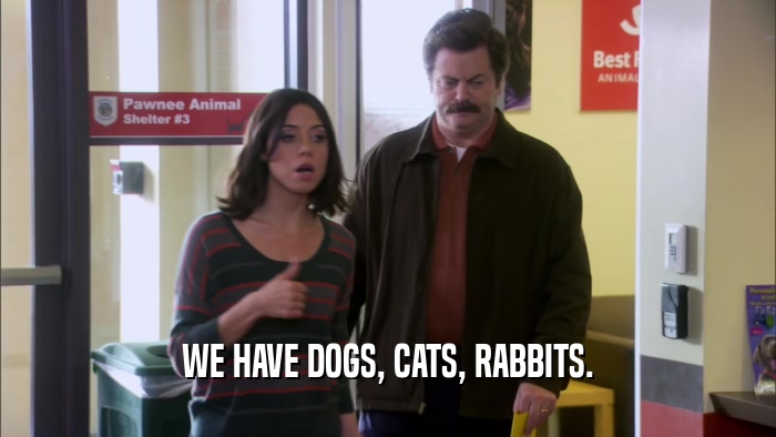 WE HAVE DOGS, CATS, RABBITS.  