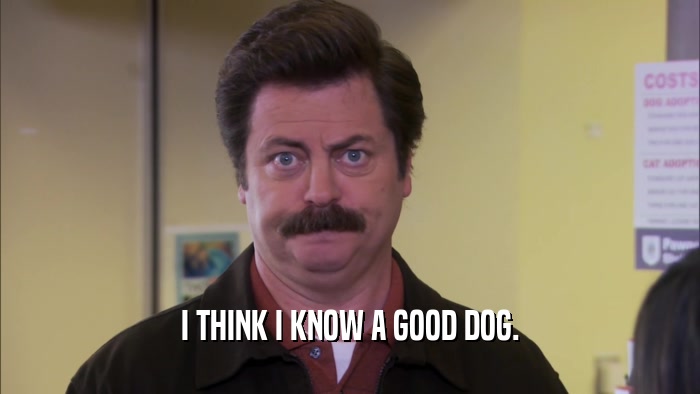 I THINK I KNOW A GOOD DOG.  