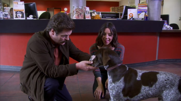 HELLO, DOG.  