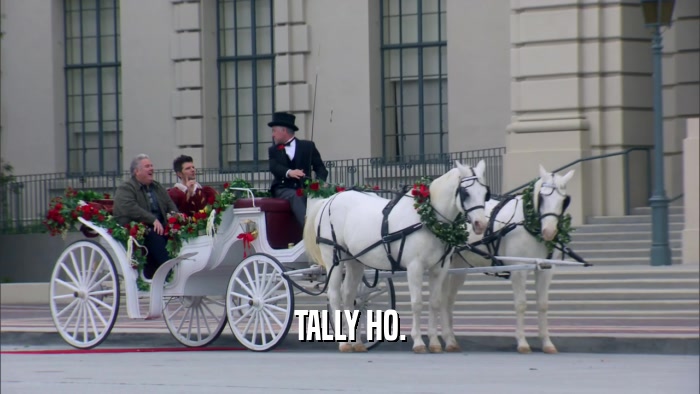 TALLY HO.  