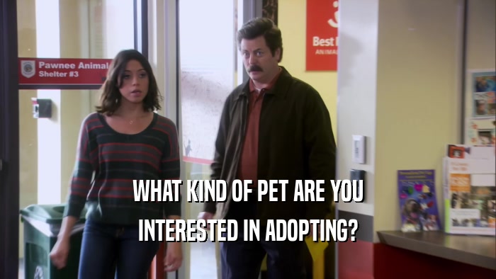 WHAT KIND OF PET ARE YOU INTERESTED IN ADOPTING? 