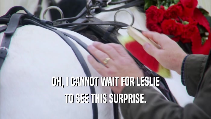 OH, I CANNOT WAIT FOR LESLIE TO SEE THIS SURPRISE. 