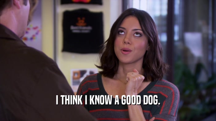 I THINK I KNOW A GOOD DOG.  