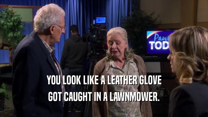 YOU LOOK LIKE A LEATHER GLOVE GOT CAUGHT IN A LAWNMOWER. 