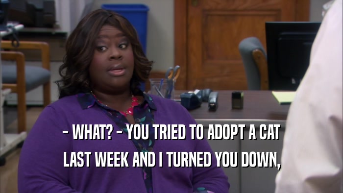 - WHAT? - YOU TRIED TO ADOPT A CAT LAST WEEK AND I TURNED YOU DOWN, 