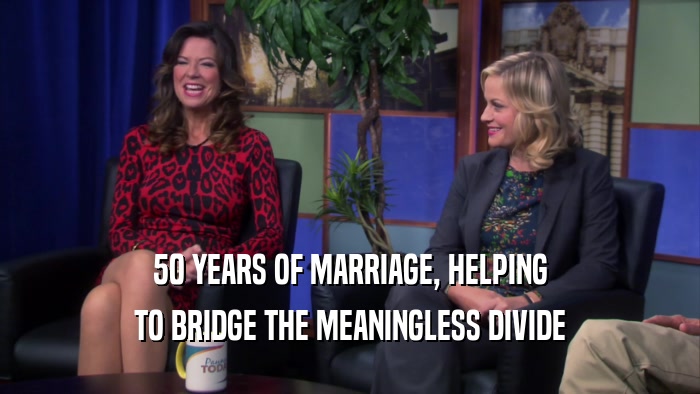 50 YEARS OF MARRIAGE, HELPING TO BRIDGE THE MEANINGLESS DIVIDE 