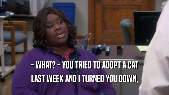 - WHAT? - YOU TRIED TO ADOPT A CAT LAST WEEK AND I TURNED YOU DOWN, 