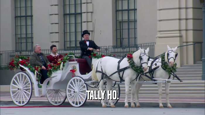 TALLY HO.  