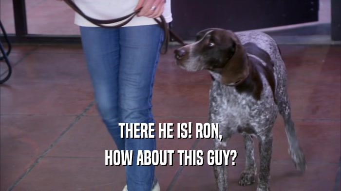 THERE HE IS! RON, HOW ABOUT THIS GUY? 