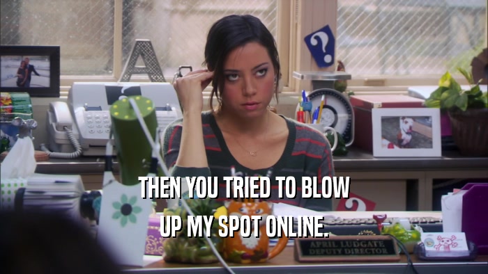 THEN YOU TRIED TO BLOW UP MY SPOT ONLINE. 