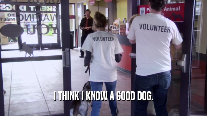 I THINK I KNOW A GOOD DOG.  