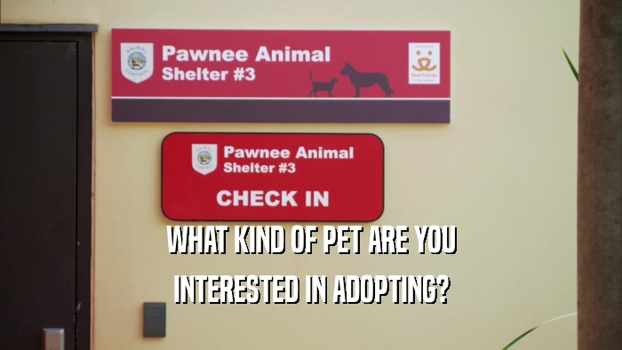 WHAT KIND OF PET ARE YOU INTERESTED IN ADOPTING? 