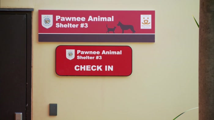 WHAT KIND OF PET ARE YOU INTERESTED IN ADOPTING? 