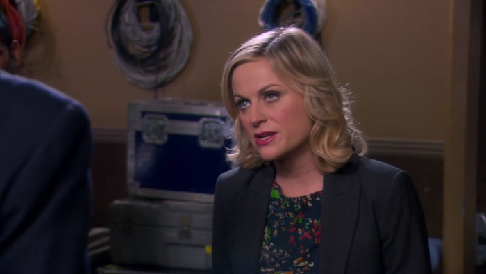 I ORCHESTRATED THE PAWNEE-EAGLETON MERGER, 
