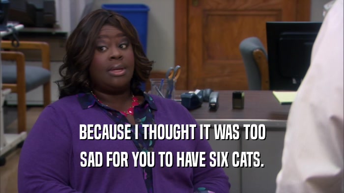 BECAUSE I THOUGHT IT WAS TOO SAD FOR YOU TO HAVE SIX CATS. 