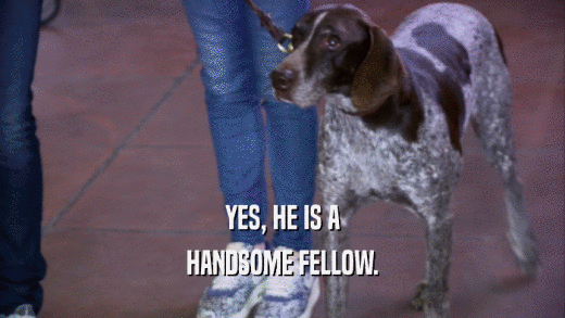 YES, HE IS A HANDSOME FELLOW. 