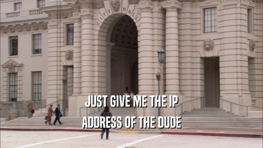 JUST GIVE ME THE IP ADDRESS OF THE DUDE 