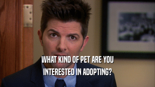 WHAT KIND OF PET ARE YOU INTERESTED IN ADOPTING? 