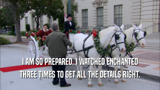 I AM SO PREPARED. I WATCHED ENCHANTED THREE TIMES TO GET ALL THE DETAILS RIGHT. 