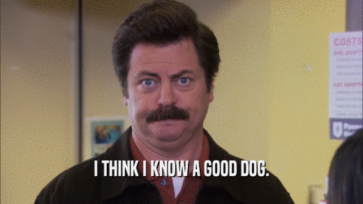 I THINK I KNOW A GOOD DOG.  