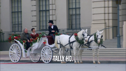 TALLY HO.  