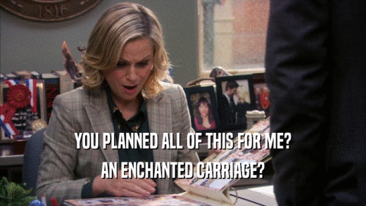 YOU PLANNED ALL OF THIS FOR ME? AN ENCHANTED CARRIAGE? 