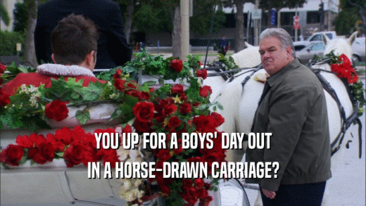 YOU UP FOR A BOYS' DAY OUT IN A HORSE-DRAWN CARRIAGE? 