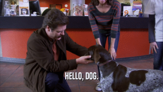 HELLO, DOG.  
