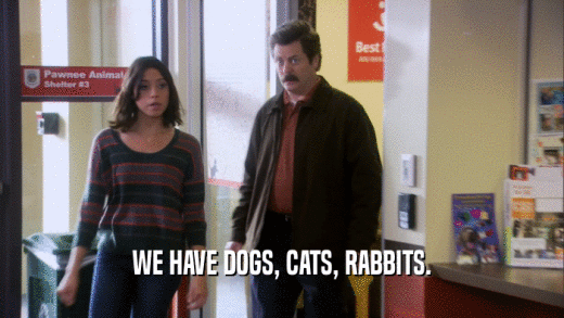 WE HAVE DOGS, CATS, RABBITS.  