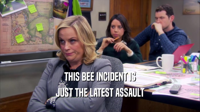 THIS BEE INCIDENT IS JUST THE LATEST ASSAULT 