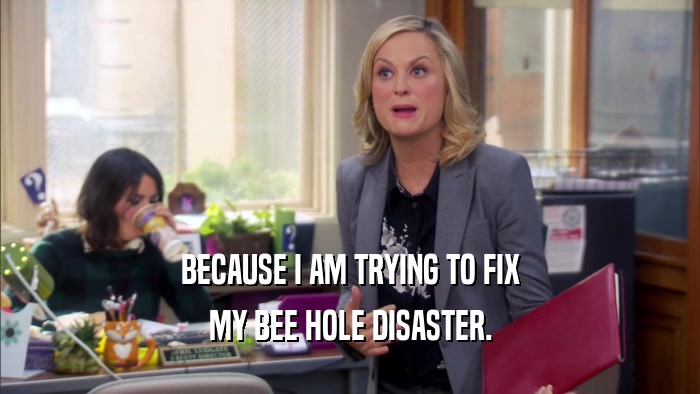 BECAUSE I AM TRYING TO FIX MY BEE HOLE DISASTER. 