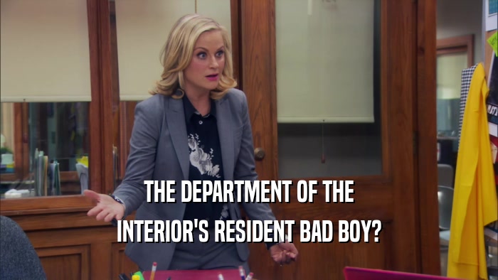 THE DEPARTMENT OF THE INTERIOR'S RESIDENT BAD BOY? 